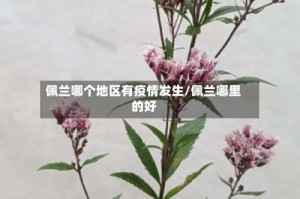 佩兰哪个地区有疫情发生/佩兰哪里的好