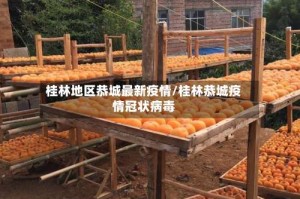 桂林地区恭城最新疫情/桂林恭城疫情冠状病毒