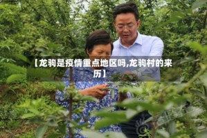 【龙驹是疫情重点地区吗,龙驹村的来历】