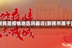 新民是疫情地区吗最近(新民市属于)