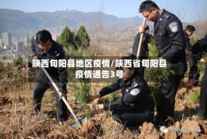陕西旬阳县地区疫情/陕西省旬阳县疫情通告3号