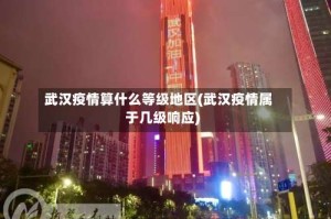 武汉疫情算什么等级地区(武汉疫情属于几级响应)