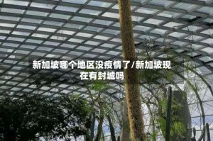 新加坡哪个地区没疫情了/新加坡现在有封城吗