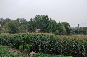 顺义两村升为中风险,顺义那几个村封了