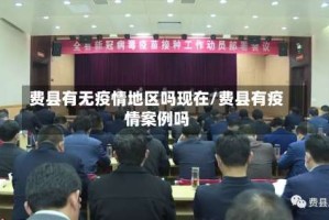 费县有无疫情地区吗现在/费县有疫情案例吗