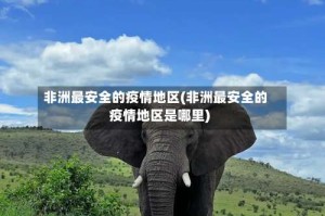 非洲最安全的疫情地区(非洲最安全的疫情地区是哪里)
