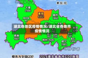 湖北各地区疫情情况/湖北省各地市疫情情况