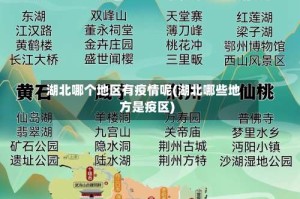 湖北哪个地区有疫情呢(湖北哪些地方是疫区)