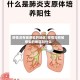 疫情没有被感染的地区/疫情没有被感染的地区叫什么