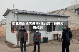 沈北辉山地区疫情/沈北辉山地区发展规划