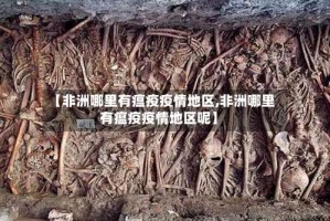 【非洲哪里有瘟疫疫情地区,非洲哪里有瘟疫疫情地区呢】