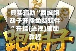 真实辅助“同城跑胡子开挂免费软件”开挂(透视)辅助教程