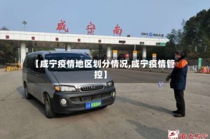 【咸宁疫情地区划分情况,咸宁疫情管控】