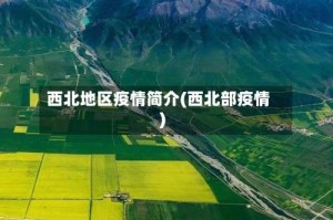 西北地区疫情简介(西北部疫情)