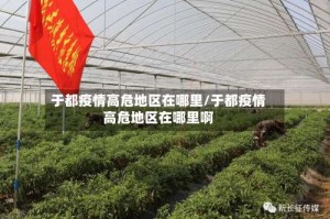 于都疫情高危地区在哪里/于都疫情高危地区在哪里啊