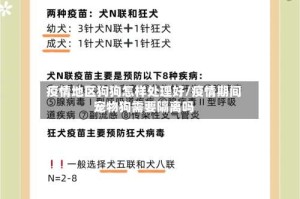 疫情地区狗狗怎样处理好/疫情期间宠物狗需要隔离吗