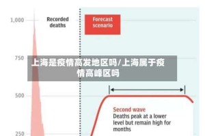 上海是疫情高发地区吗/上海属于疫情高峰区吗