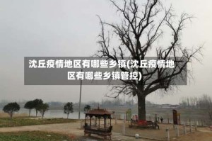 沈丘疫情地区有哪些乡镇(沈丘疫情地区有哪些乡镇管控)