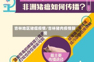 吉林地区猪瘟疫情/吉林猪肉疫情新闻