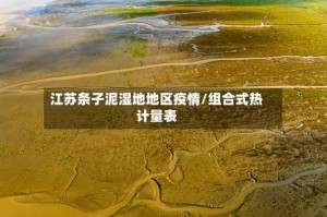 江苏条子泥湿地地区疫情/组合式热计量表