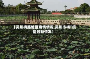 【吴川梅路地区疫情情况,吴川市梅菉疫情最新情况】