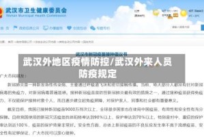 武汉外地区疫情防控/武汉外来人员防疫规定