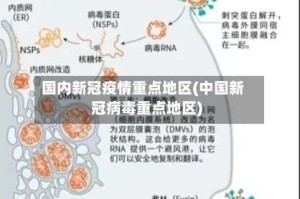 国内新冠疫情重点地区(中国新冠病毒重点地区)