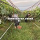 【泌阳疫情地区划分图片,泌阳疫情通报】
