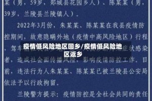 疫情低风险地区回乡/疫情低风险地区返乡