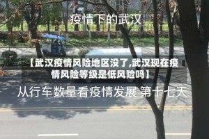 【武汉疫情风险地区没了,武汉现在疫情风险等级是低风险吗】