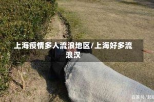 上海疫情多人流浪地区/上海好多流浪汉