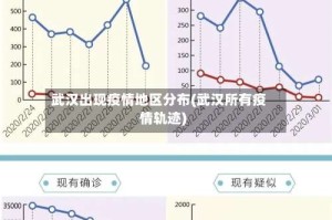 武汉出现疫情地区分布(武汉所有疫情轨迹)