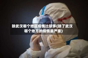 除武汉哪个地区疫情比较多(除了武汉哪个地方的疫情最严重)