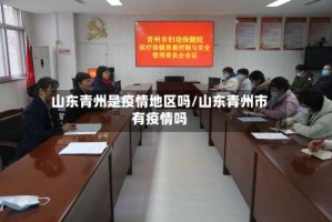 山东青州是疫情地区吗/山东青州市有疫情吗