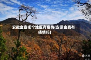 安徽金寨哪个地区有疫情(安徽金寨有疫情吗)