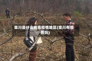 栾川是什么病毒疫情地区(栾川有疫情吗)