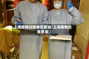 上海疫情归属地区查询/上海疫情位置查询