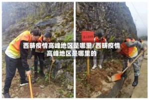 西畴疫情高峰地区是哪里/西畴疫情高峰地区是哪里的