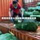 疫情地区怎么限制拍单(疫情期间限制)