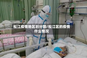 松江疫情地区划分图/松江区的疫情什么情况