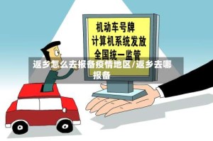 返乡怎么去报备疫情地区/返乡去哪报备