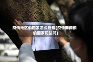 疫情地区偷回家怎么处理(疫情期间偷偷回家犯法吗)