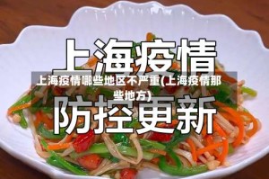 上海疫情哪些地区不严重(上海疫情那些地方)