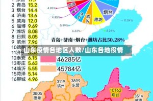 山东疫情各地区人数/山东各地役情