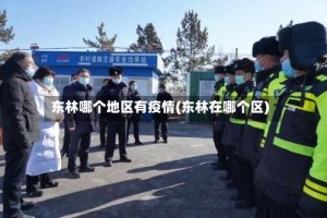 东林哪个地区有疫情(东林在哪个区)