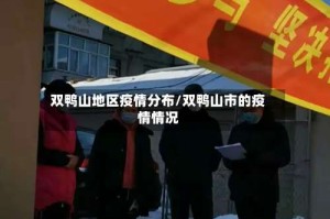 双鸭山地区疫情分布/双鸭山市的疫情情况