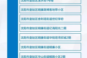 中风险地区查询最新,中风险等级查询
