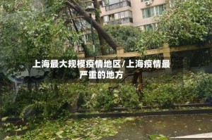 上海最大规模疫情地区/上海疫情最严重的地方