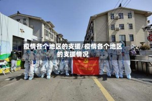 疫情各个地区的支援/疫情各个地区的支援情况