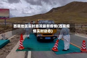 西藏地区实时路况最新疫情(西藏疫情实时动态)
